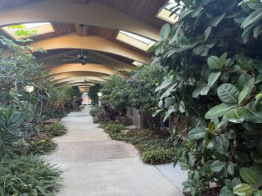 HH Hancock III Root Canal Endodontist in Raleigh NC -